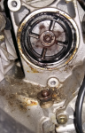 post mod z25 bolt sheared.PNG