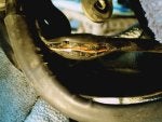 IMG_20170603_135547#1.jpg
